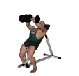 Pull Over - Incline Two Handed Dumbbell